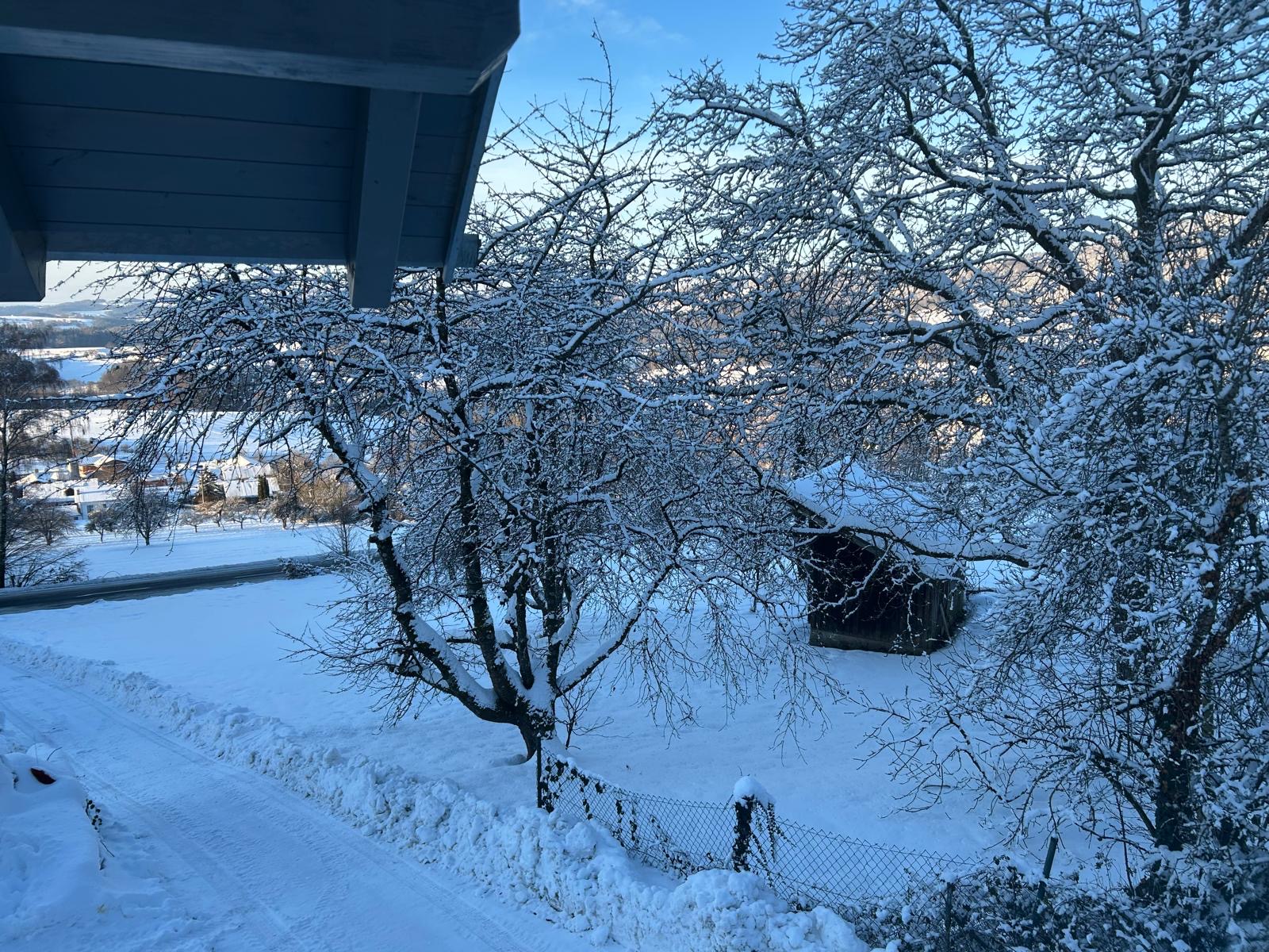 Verschneiter Obstbaum und Blick vom Balkon auf das winterliche Lallinger Tal