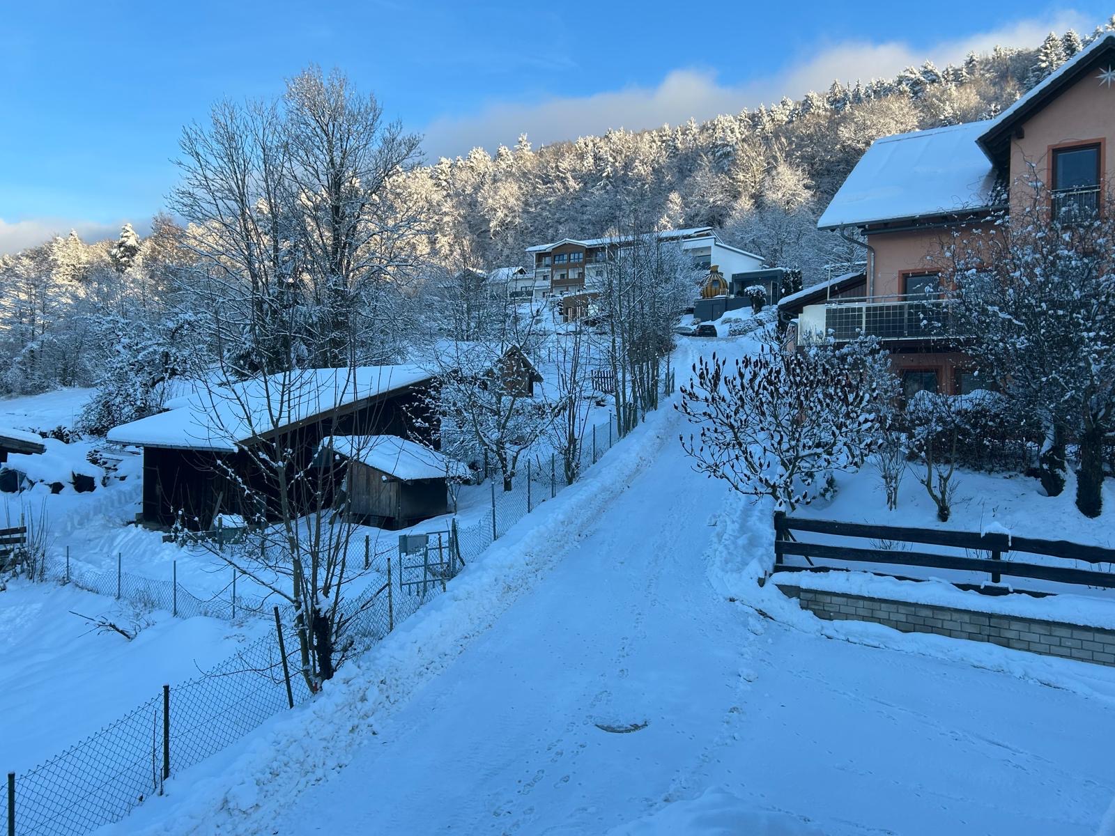 Verschneite Gehöfte und der Ranzingerberg im Winter mit sonnenbeschienenem Wald
